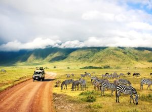 tanzania_shutterstock_1238975587